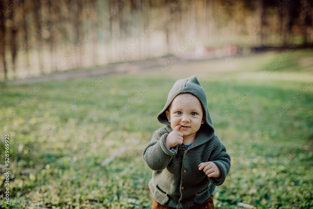 Portrait of cute little boy wearing knitted hoodie in nautre, autumn concept. Portrait of cute little boy wearing knitted hoodie in nautre, autumn concept.
