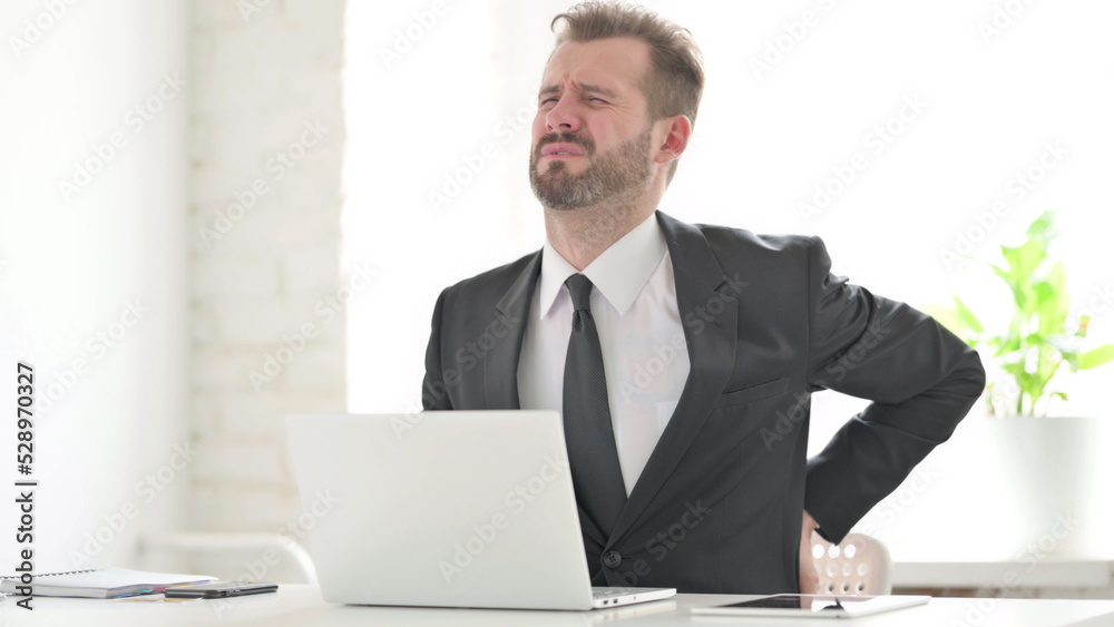 Young Businessman having Back Pain while using Laptop in Office