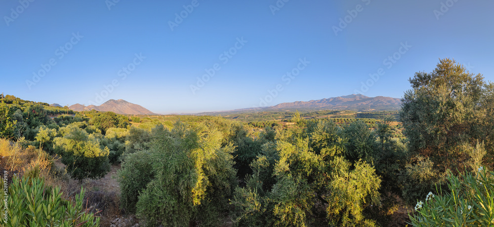 Mountain panorama with olive grove on Crete island, Greece