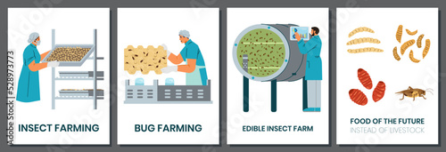 Bug farming set of vector cards. Insects as alternative food for the planet.
