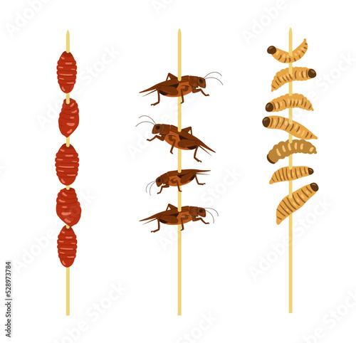 Wooden sticks with fried insects flat vector illustration. Edible insects house crickets, silkworms, caterpillars.
