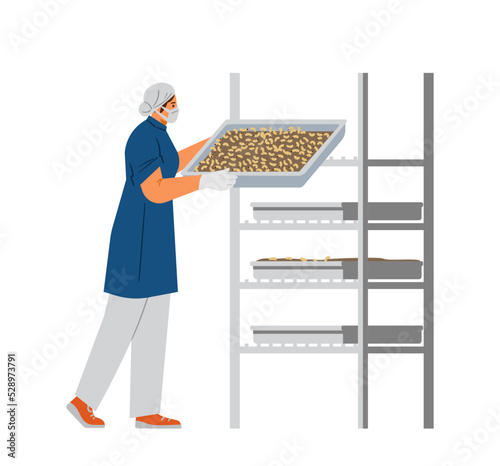 Bug farm vector illustration. Woman in mask and gloves holding tray with black soldier fly larvae. Edible insects as food of the future.
