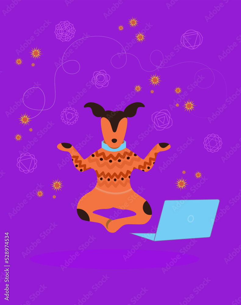 Fototapeta premium Cute dog practicing yoga and meditation using computer on background with flying yoga chakras