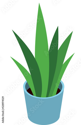 Green houseplant isometric icon. Office plant in flowerpot
