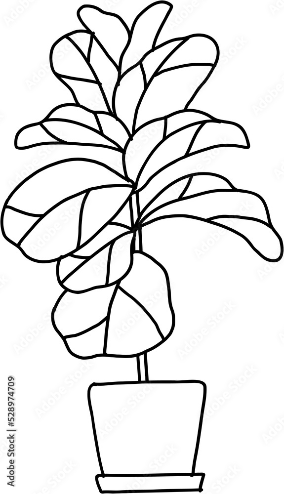 freehand sketch drawing of fiddle leaf fig tree. freehand sketch drawing of fiddle leaf fig tree.