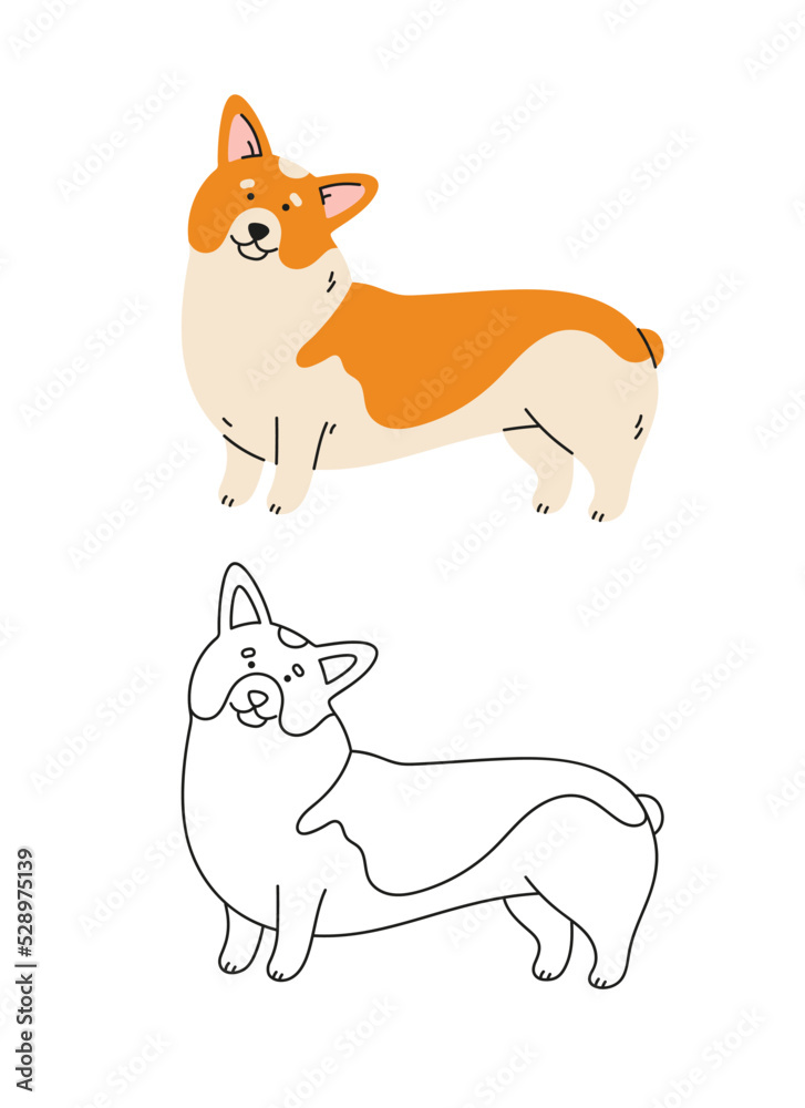 Fototapeta premium Cute corgi dog vector cartoon illustration. Hand-drawn dog in contemporary flat style, and line art. Cartoon animal, pet.