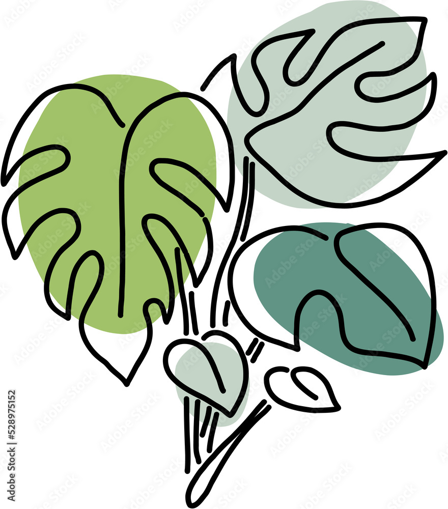 Fototapeta premium Simplicity monstera plant freehand drawing flat design.