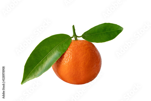 Mandarin orange or mandarine ripe fruit with green leaves isolated transparent png. Citrus reticulata. photo