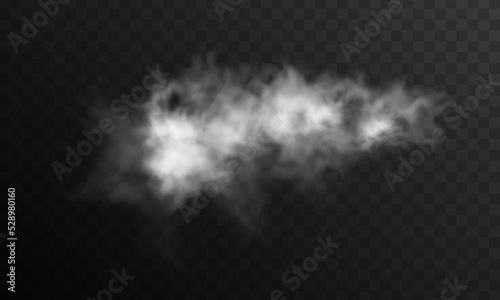 Special effect of steam, smoke, fog, clouds. Abstract gas on transparent background, vapor machine steam or explosion dust, dry ice effect, condensation, fume. Vector illustration.