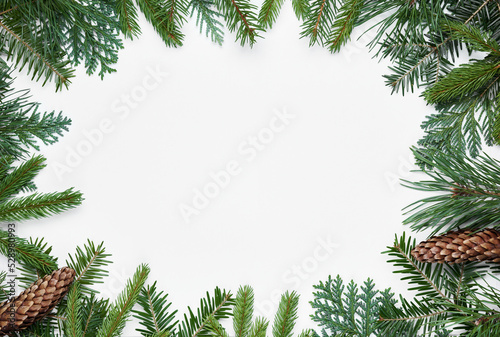 Christmas background. Christmas branches of fir  pine  thuja  spruce with cones isolated on white background  top view