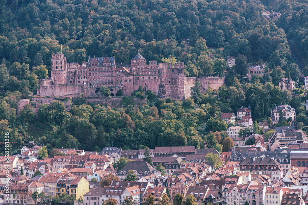panoramic view of Heidelberg from the Philosophenweg - old town of Heidelberg with the castle and the Old Bridge, Baden Wuerttemberg, Germany