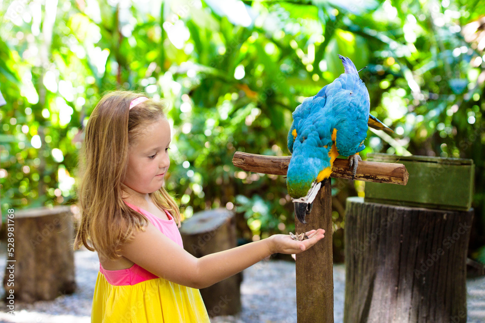 Fototapeta premium Kids feeding macaw parrot. Child playing with bird