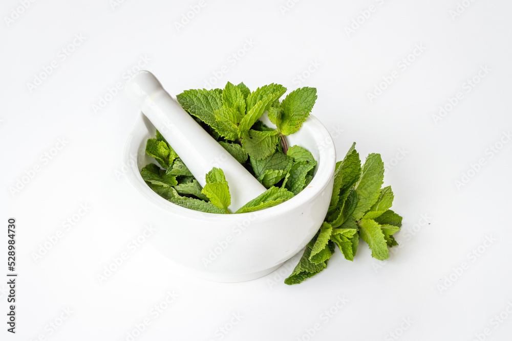 Aroma herbs for medicine and cooking. Mint leaves in mortar