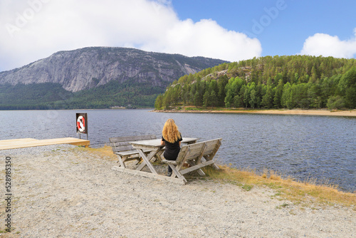 A resting place on the beach (Molandbeach) in Fyresdal, South Norway photo