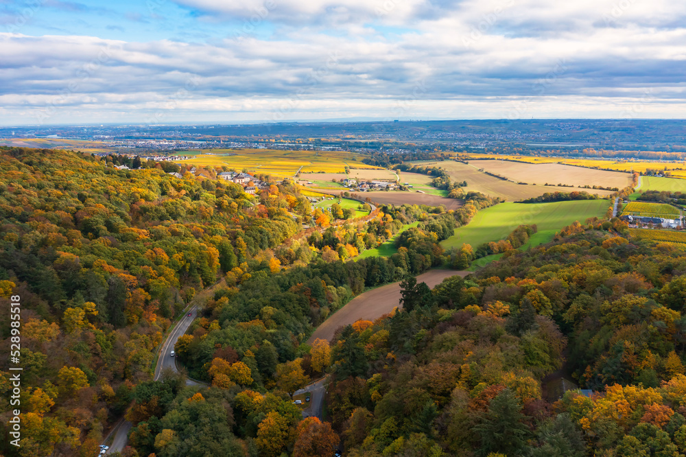 A bird's-eye view of the colorful autumn forest with the Rhine in the background