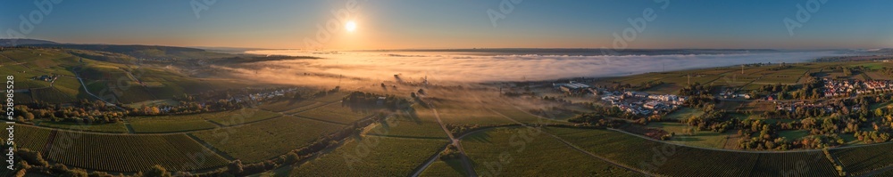 Panoramic bird's-eye view of a sunrise over the fog-covered Rhine near Eltville/Germany in autumn