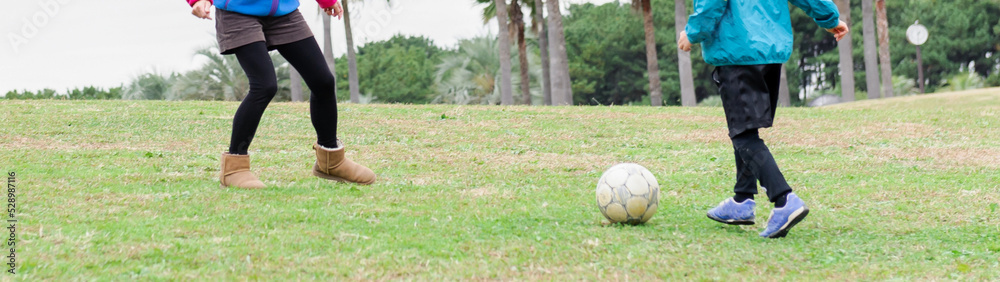 公園の芝生でサッカーボールで遊ぶ母親と男の子の親子