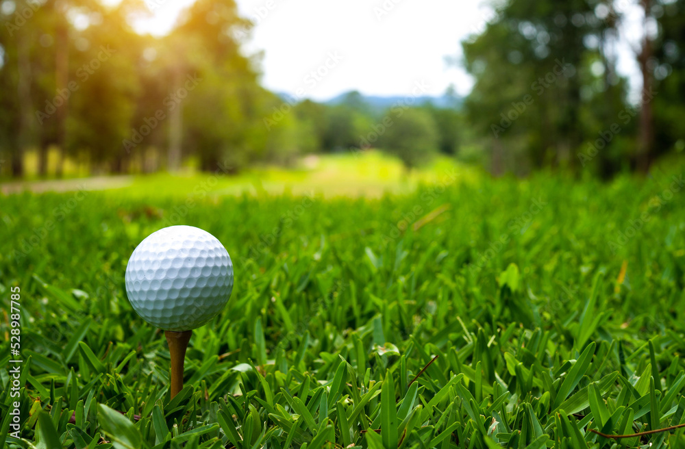 Golf ball is on tee at green lawn in a beautiful golf course with morning sunshine. Golf ball is on tee at green lawn in a beautiful golf course with morning sunshine.