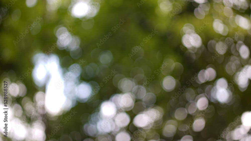 abstract background round green and yellow light abstract background round green and yellow light