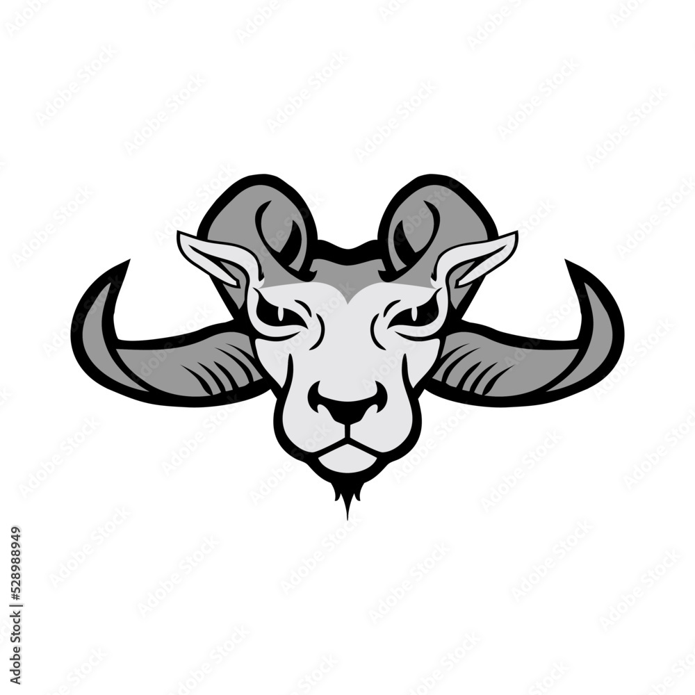 Obraz premium bull with horns