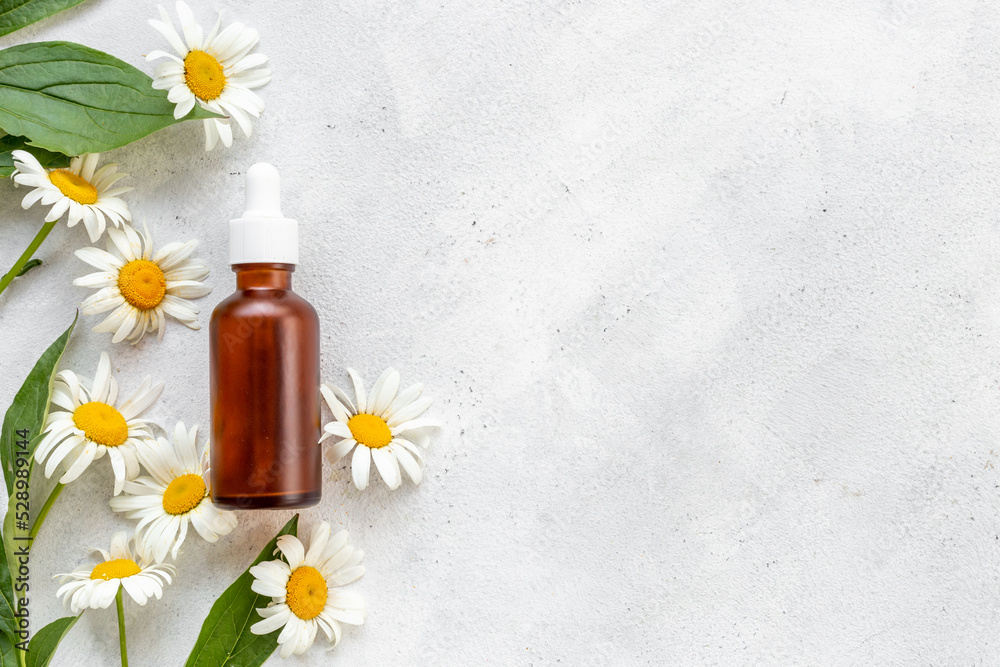 Bottle of essential oil with fresh herbs. Wild meadow flowers cosmetic Bottle of essential oil with fresh herbs. Wild meadow flowers cosmetic