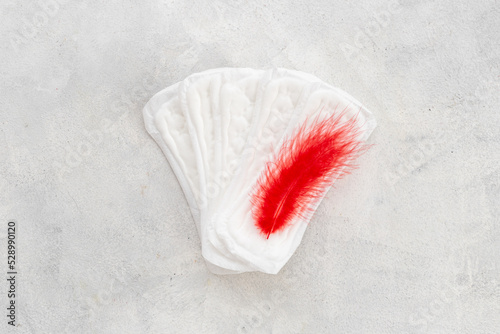 White panty liners with red feather. Menstruation period and daily hygiene