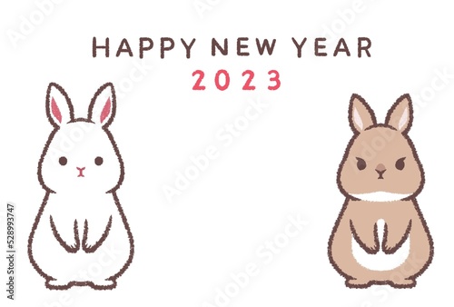 シロウサギとネザーランドドワーフの2023年賀状横 © kino