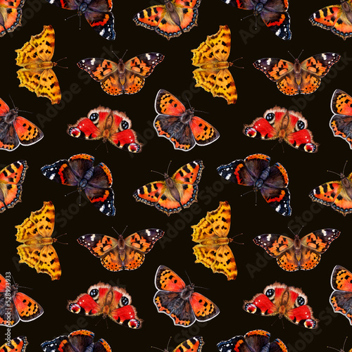 Watercolor seamless pattrn with butterflys. Aglais urticae, Vanessa cardui, Vanessa atalanta, Polygonia c-album, Aglais io isolated on black background. Hand drawn background insect illustration.