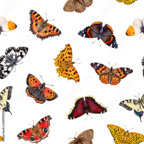 Watercolor seamless pattrn with butterflys. Aglais urticae, Anthocharis cardamines, Nymphalis antiopa, Polygonia c-album isolated on white background. Hand drawn background insect illustration.