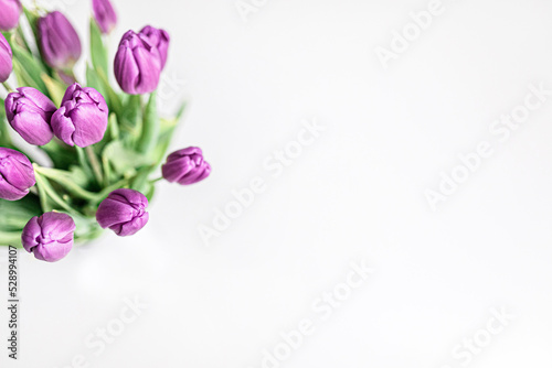 Fresh picked purple tulips in a vase on a solid white surface