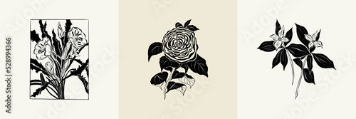 Flowers, Botanica illustration collection. Black ink, line, doodle style. 