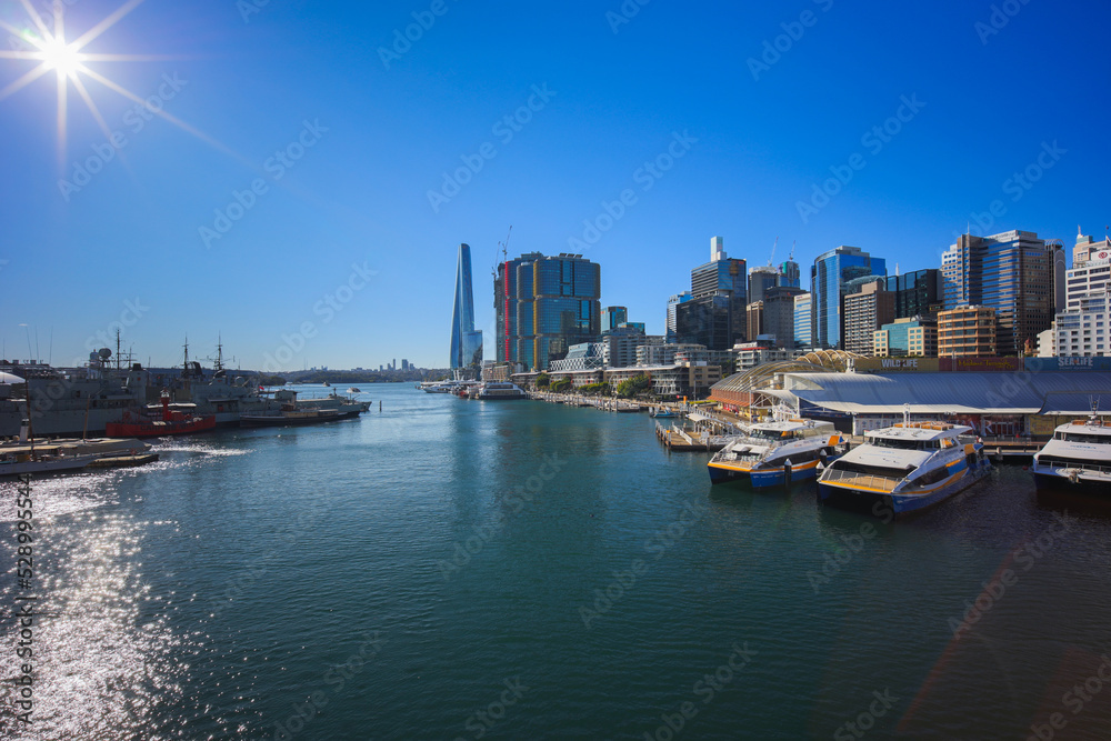 View of Sydney Harbour and City Skyline of Darling Harbour and Barangaroo Australia