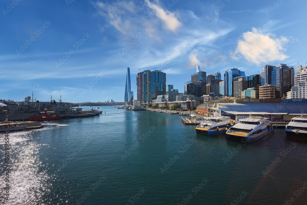 View of Sydney Harbour and City Skyline of Darling Harbour and Barangaroo Australia