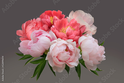 Fototapeta Naklejka Na Ścianę i Meble -  Bouquet of light pink and bright pink peonies in a transparent glass vase isolated on a gray gradient background.