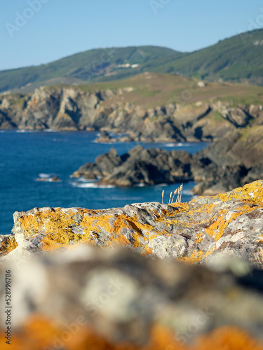 Coastline near Pantin Beach near Cedeira in Galicia photo