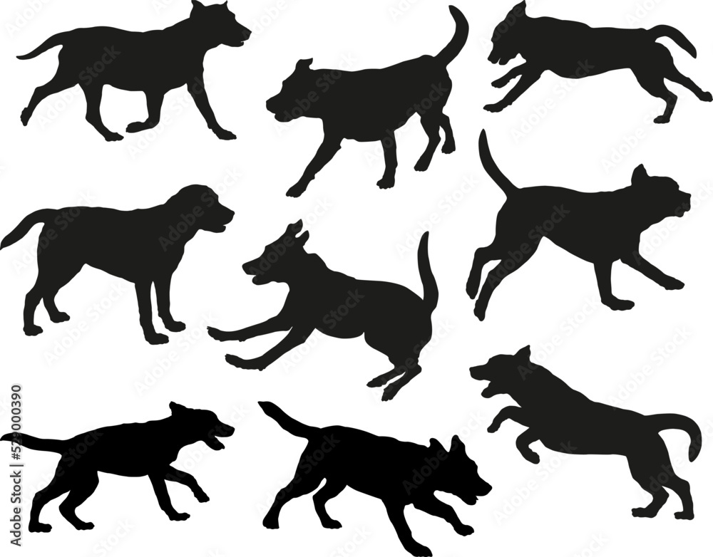 Group of labrador retrievers in various poses. Dog silhouette. Running, standing, sniffing, jumping dogs. Isolated on a white background. Pet animals. Group of labrador retrievers in various poses. Dog silhouette. Running, standing, sniffing, jumping dogs. Isolated on a white background. Pet animals.