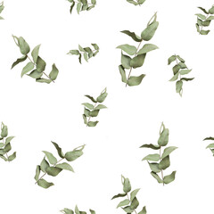 Eucalyptus leaf on a white background. Seamless pattern.