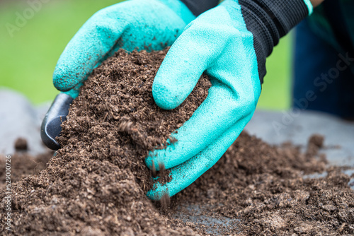 Hand holding peat moss organic matter improve soil for agriculture organic plant growing, ecology concept.