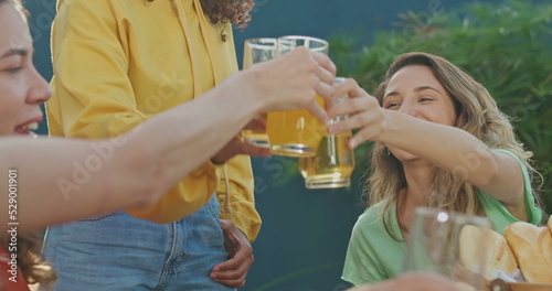 Group of friends celebrating toasting with drinks. Diverse people toast during barbecue garden party