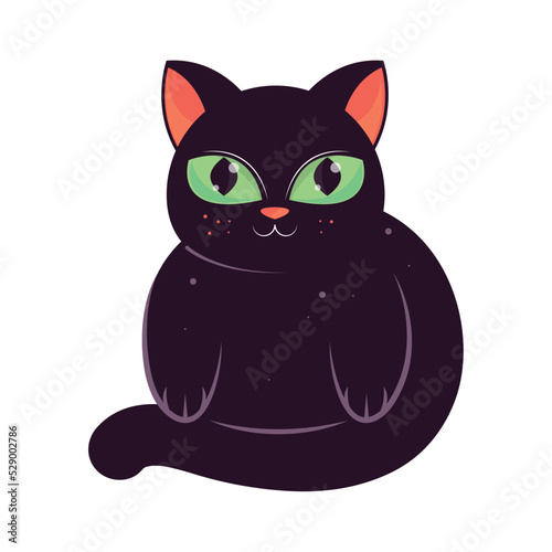 cute black cat