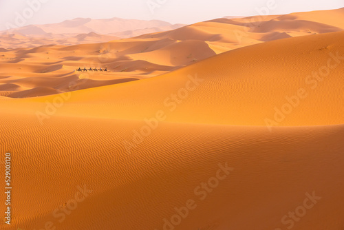 Fototapeta Naklejka Na Ścianę i Meble -  Beautyful Sahara desert at Morrocco