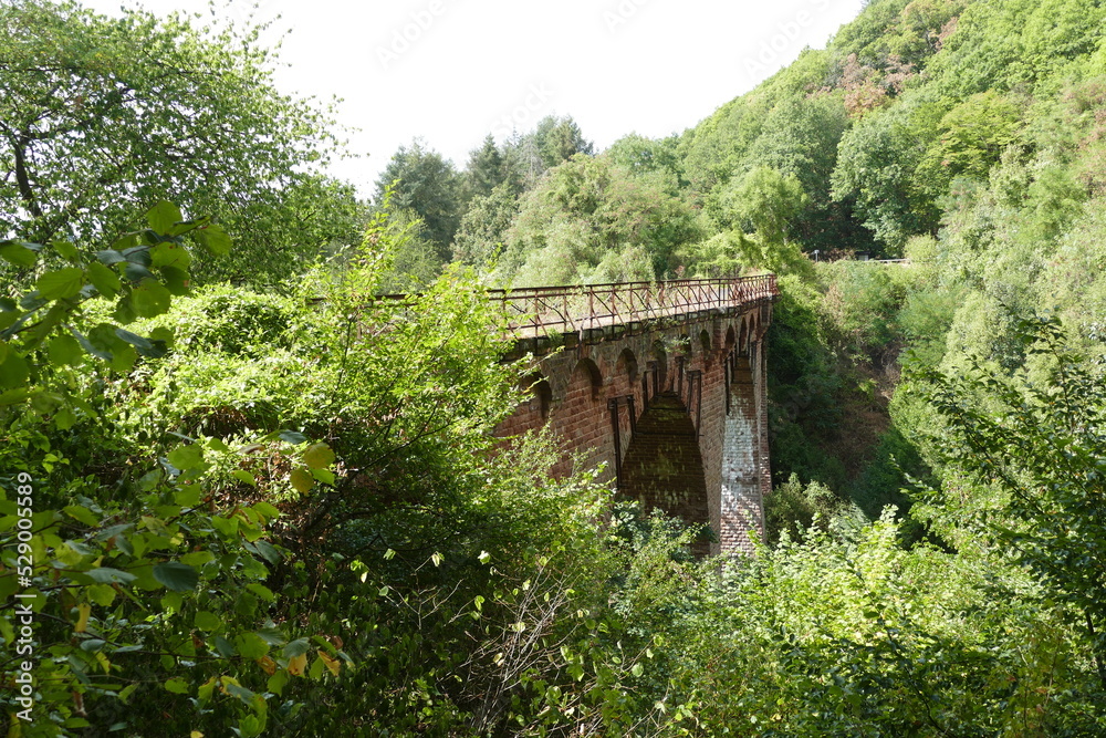 Die vergessene Brücke auf dem Maare-Mosel Radweg