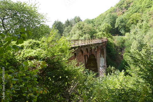 Die vergessene Brücke auf dem Maare-Mosel Radweg © Gerd