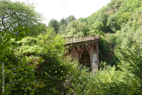 Die vergessene Brücke auf dem Maare-Mosel Radweg