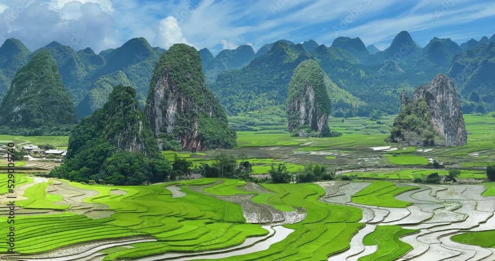 Animated aerial landscape, flying over rice fields in China, approaching a karst mountain range.