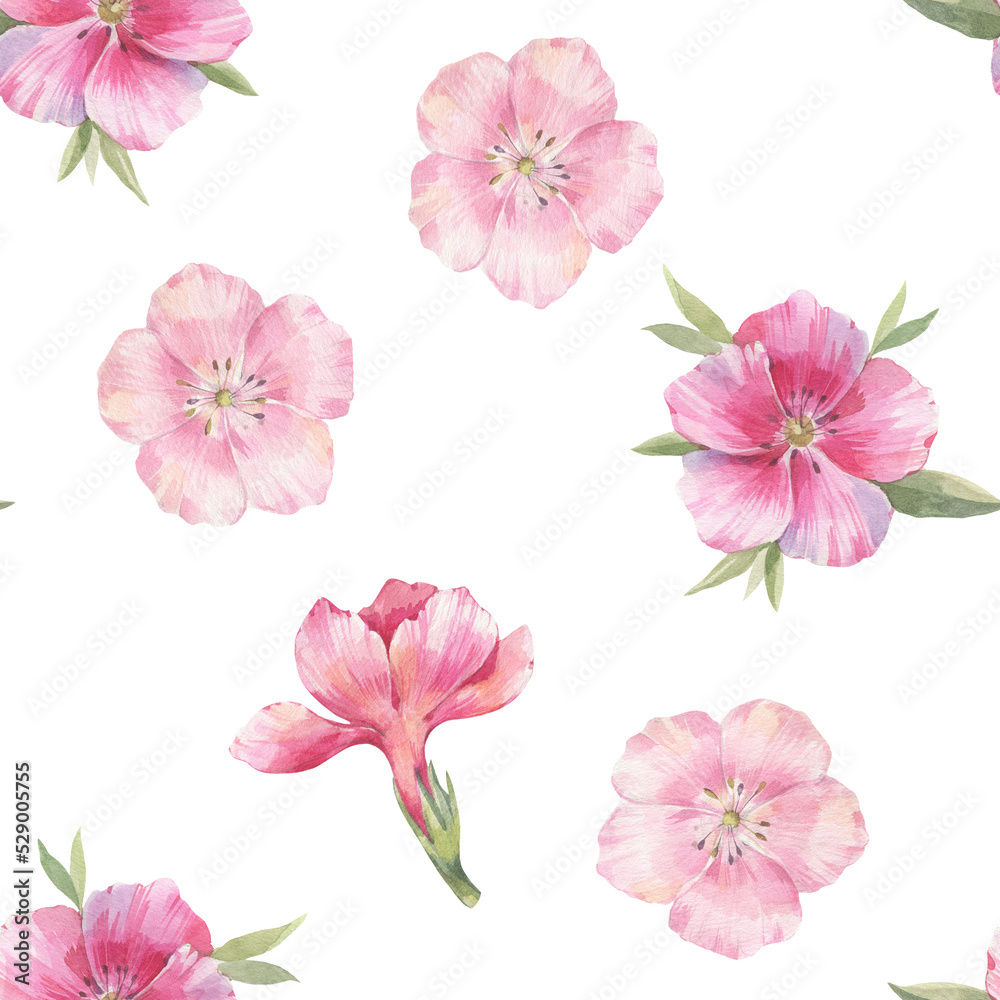 seamless floral pattern on a white background. carnation flowers isolate