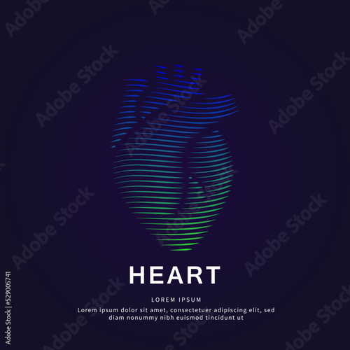 Human heart medical structure. Vector logo heart care color silhouette on a dark background. Cardiology logotype vector template suitable for organization, company, or community. EPS 10