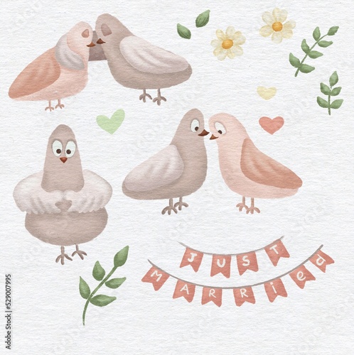 Soft set with lovely pigeons. Love, doves and fondness.