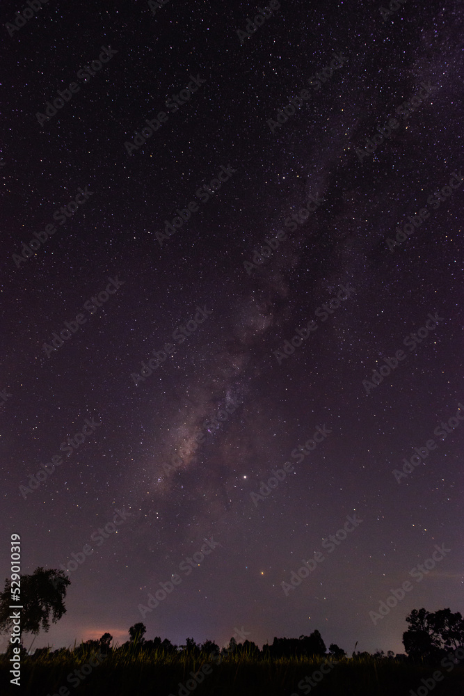 Night starry sky. Milky Way, stars, nebula. Space vertical background. select focus.
