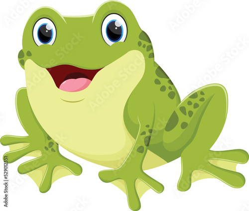 Cute frog cartoon isolated on white background